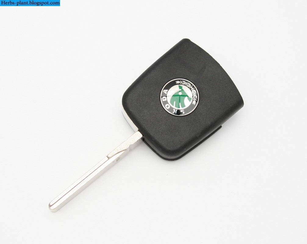 Skoda felicia car 2000 key - صور مفاتيح سيارة سكودا فليشيا 2000 Skoda felicia car 2000 key - صور مفاتيح سيارة سكودا فليشيا 2000