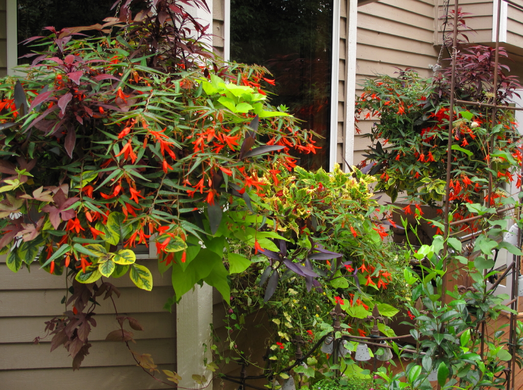 Livin In The Green How To Plant A Cottage Style Window Box