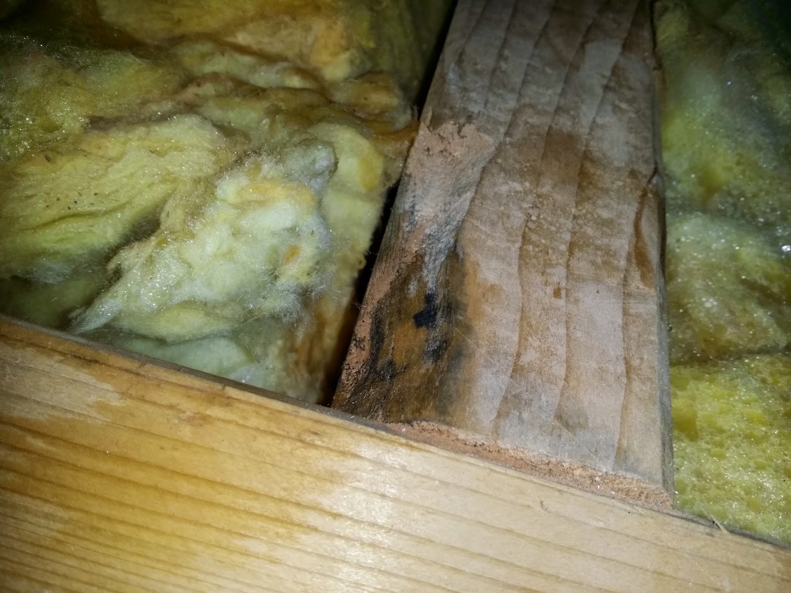 Baublog Wir Bauen In Neesbach 2014