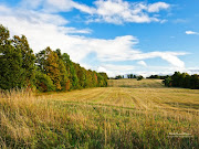 Late summer, according to the Five Transformations of Energy, . (late summer)