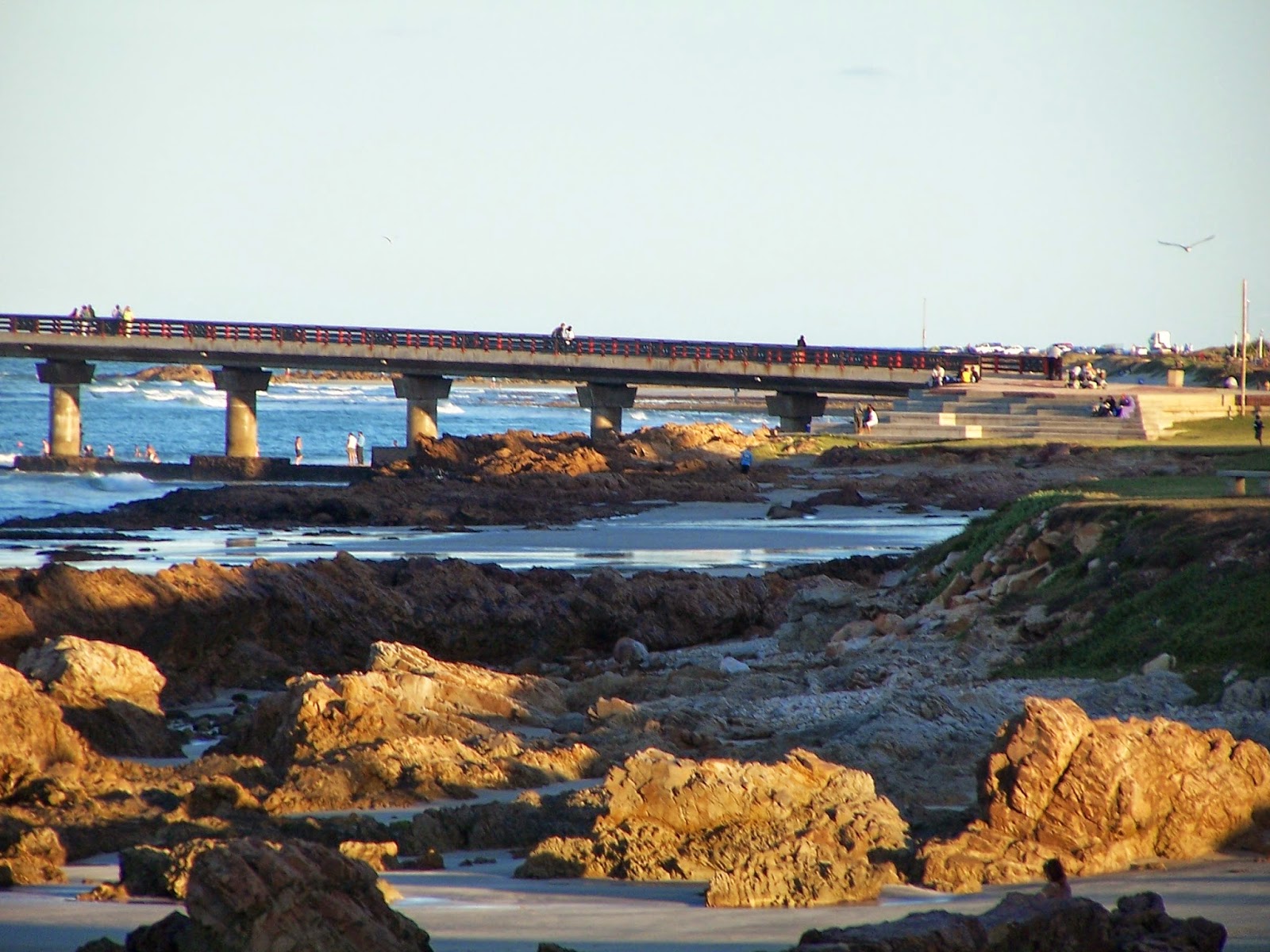 Port Elizabeth Shark Pier Algoa Bay Port Elizabeth