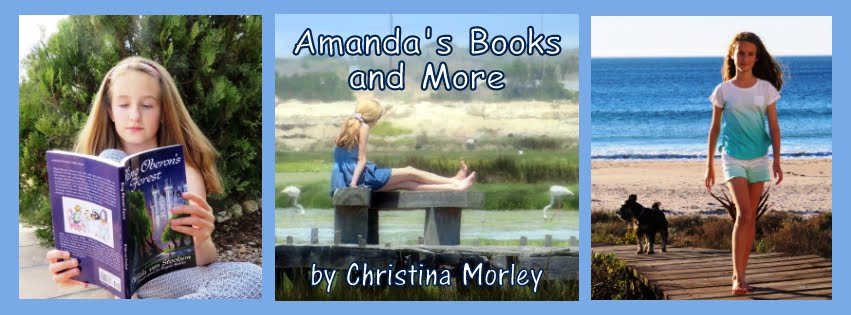 Amanda's Books and More