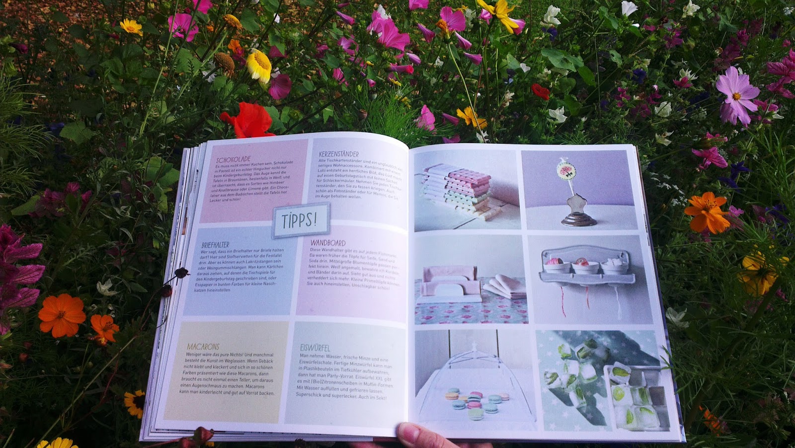 Ppq Akute Nachrichten Aus Dem Notstandsgebiet Angst Analyse