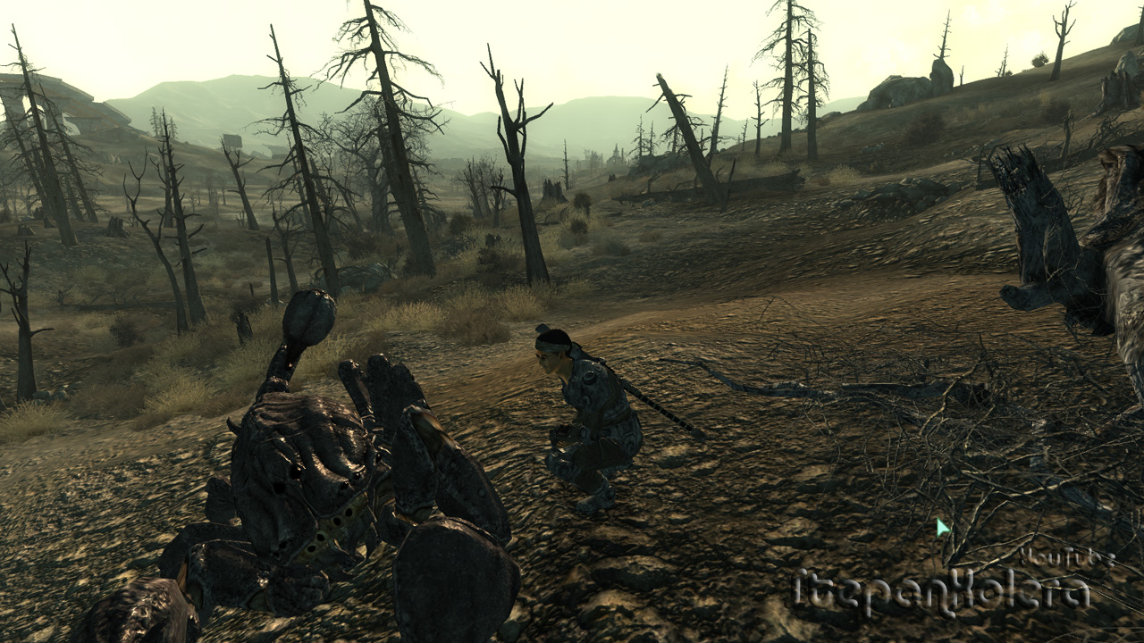 Fallout 3 моды графика скачать бесплатно Fallout 3 моды графика скачать бесплатно