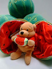 2001 UK DS Zip Up Watermelon Pooh