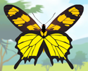 JUEGO:COLOREA MARIPOSAS