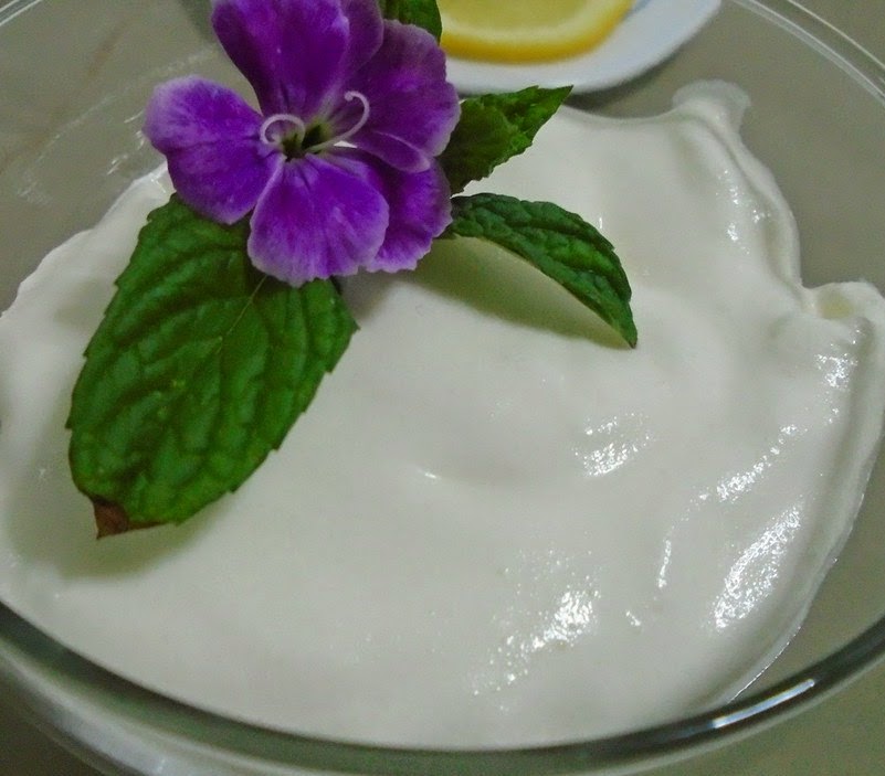 Como Hacer Sour Cream O Crema Agria