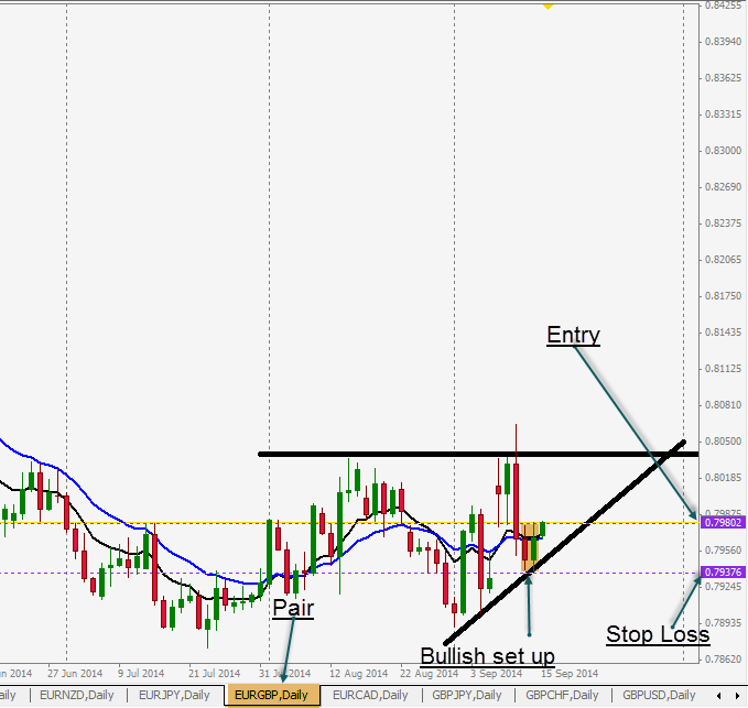 Forex bt501