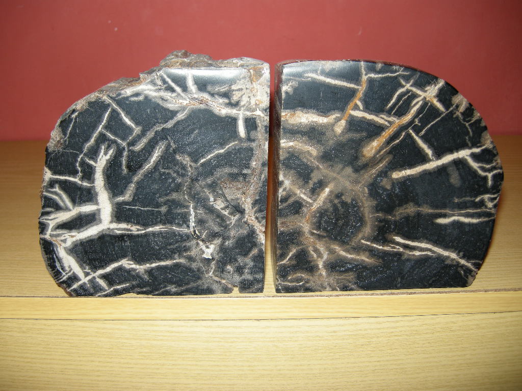 Petrified Wood Bookends for sale from IndoGemstone.com