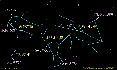 Taurus Constellation Outline