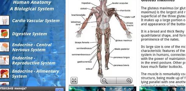 الميديا اليوم أخبار التقنية والهواتف الذكية والحواسب والأجهزة اللوحية تطبيق Human Anatomy لطلاب كلية الطب لمذاكرة التشريح