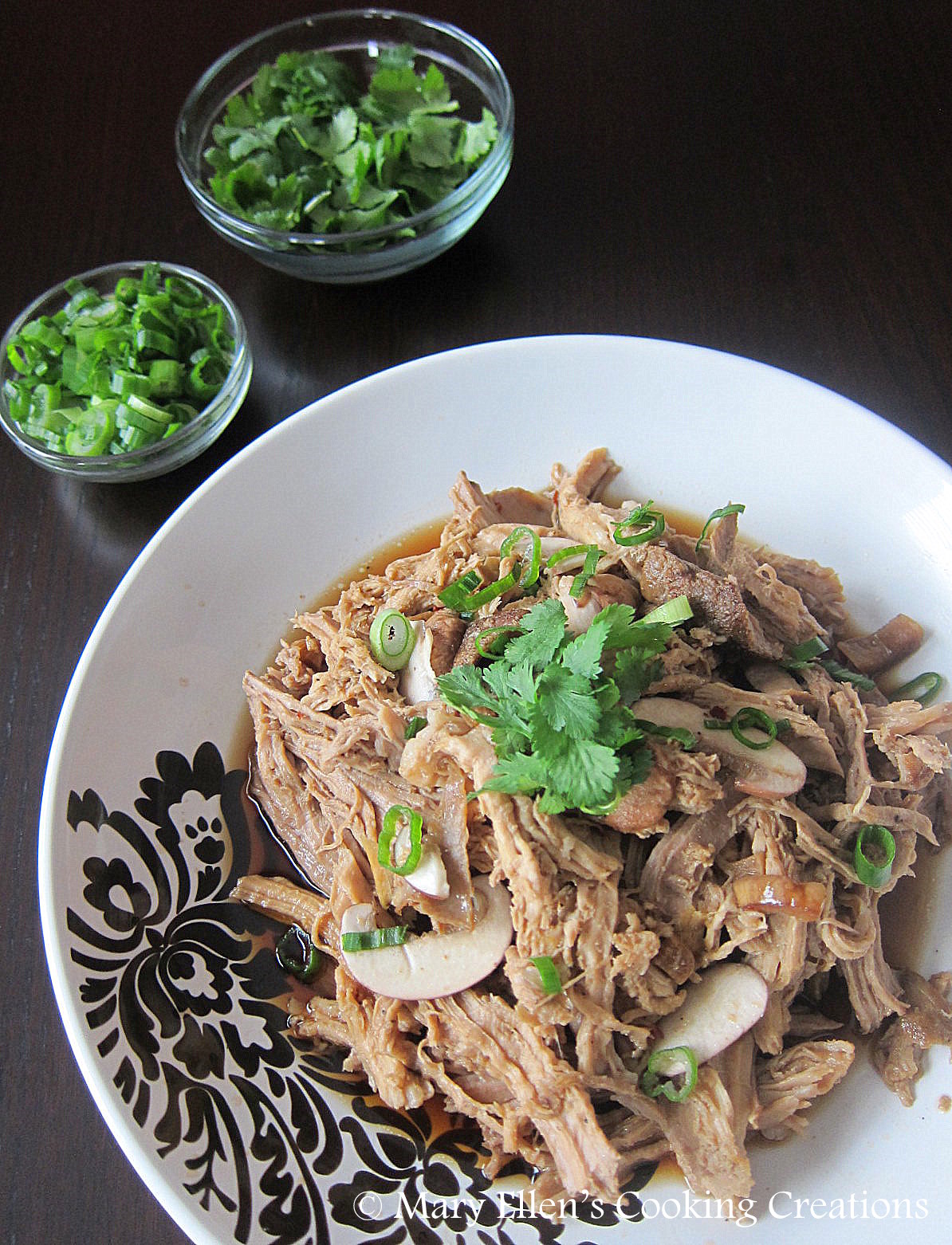 Mary Ellen's Cooking Creations Crock Pot Asian Pulled Pork