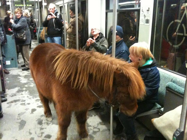 Horse S-Bahn Berlin