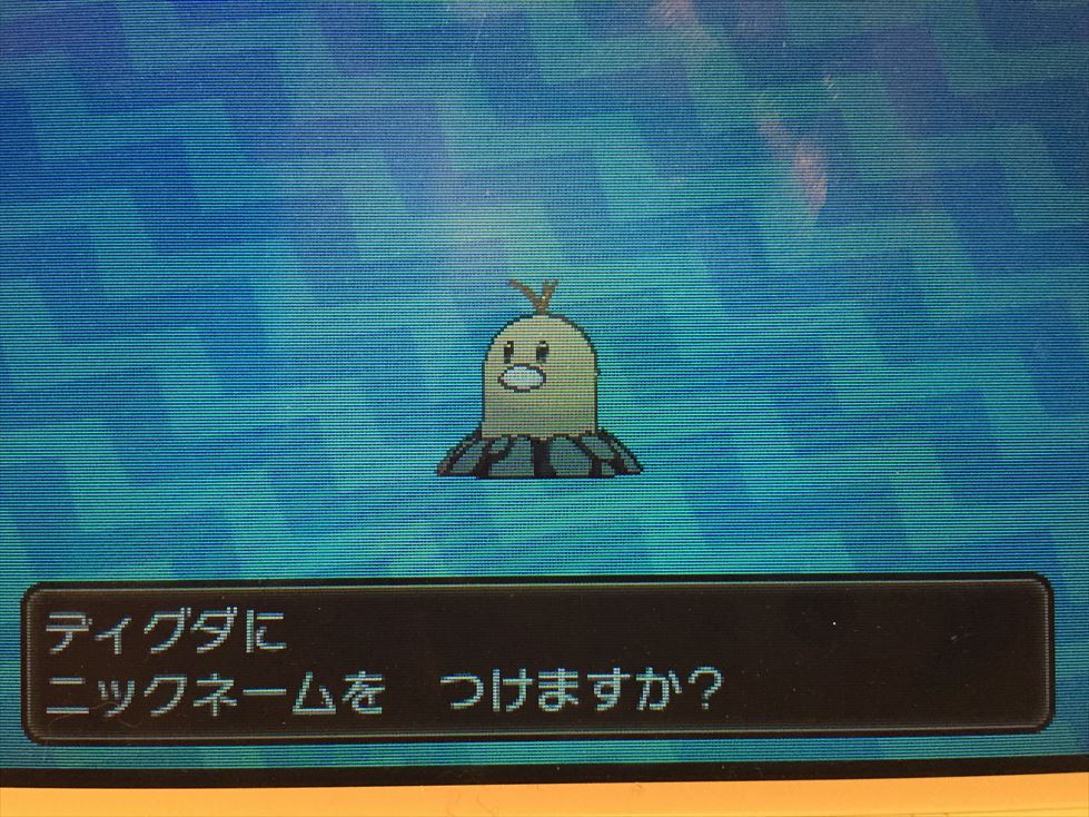 ポケさんぽ ポケットモンスター サン 4 3番道路 ポートエリア 3ds