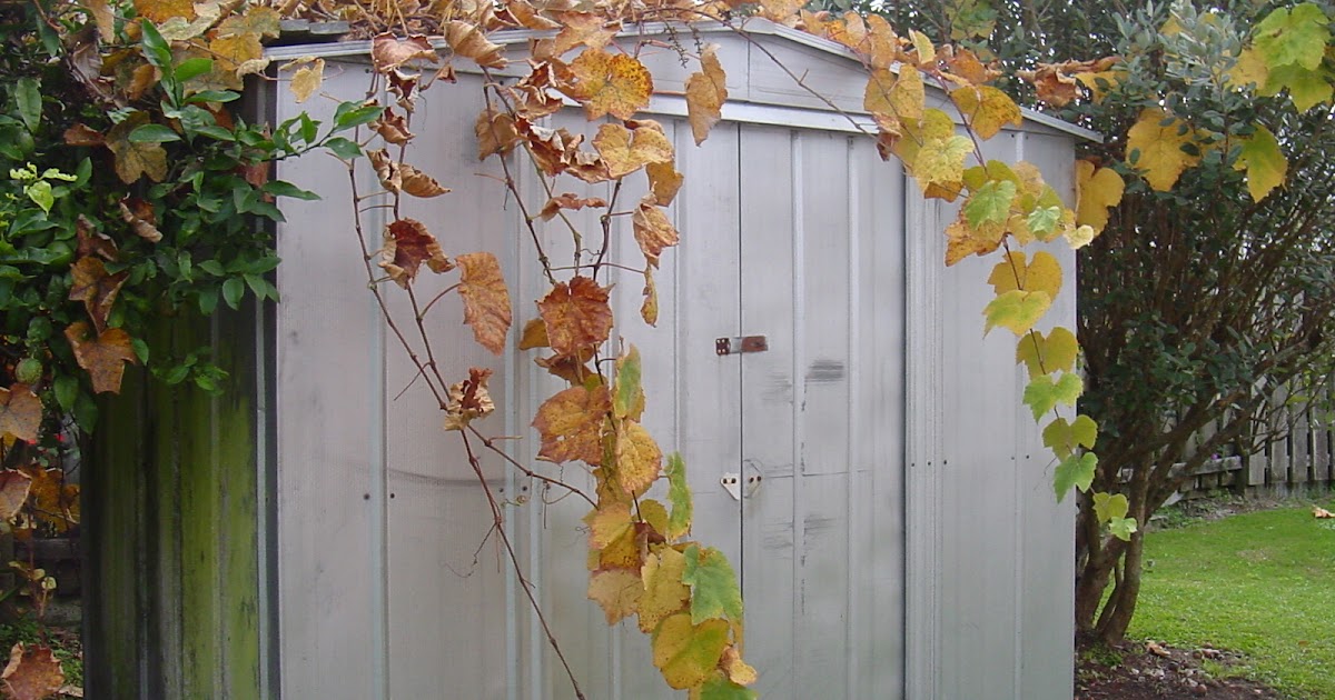 Cobertizos de Metal para el Jardín : Jardín y Terrazas
