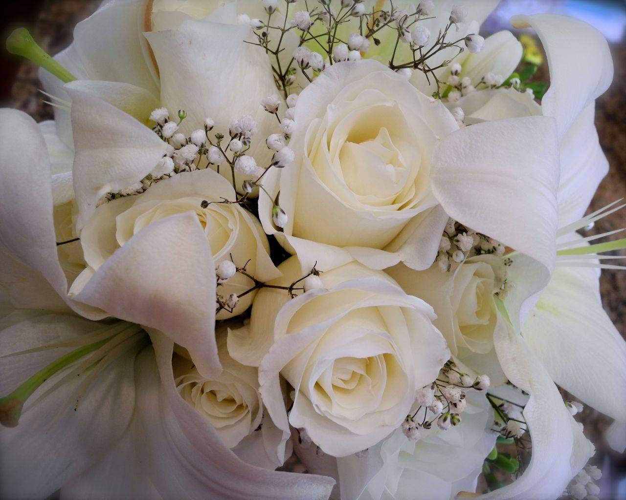 Wedding Flowers Roses The Flower Girl Blog White Bridal Bouquet Wedding Flowers Roses The Flower Girl Blog White Bridal Bouquet