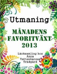 Utmaning!