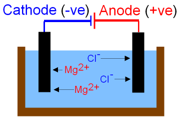 aqueous magnesium bromide at the cathode aqueous magnesium bromide at the cathode