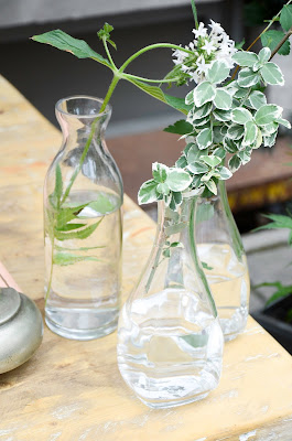 White flowers at Club Monaco summer market from Sweet woodruff, Toronto