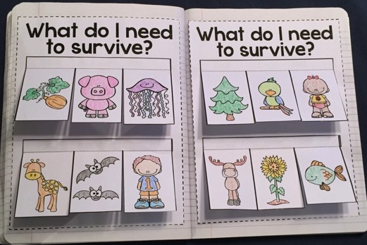 Living Things Interactive Notebook and Activities for Kids The Living Things Interactive Notebook and Activities for Kids The