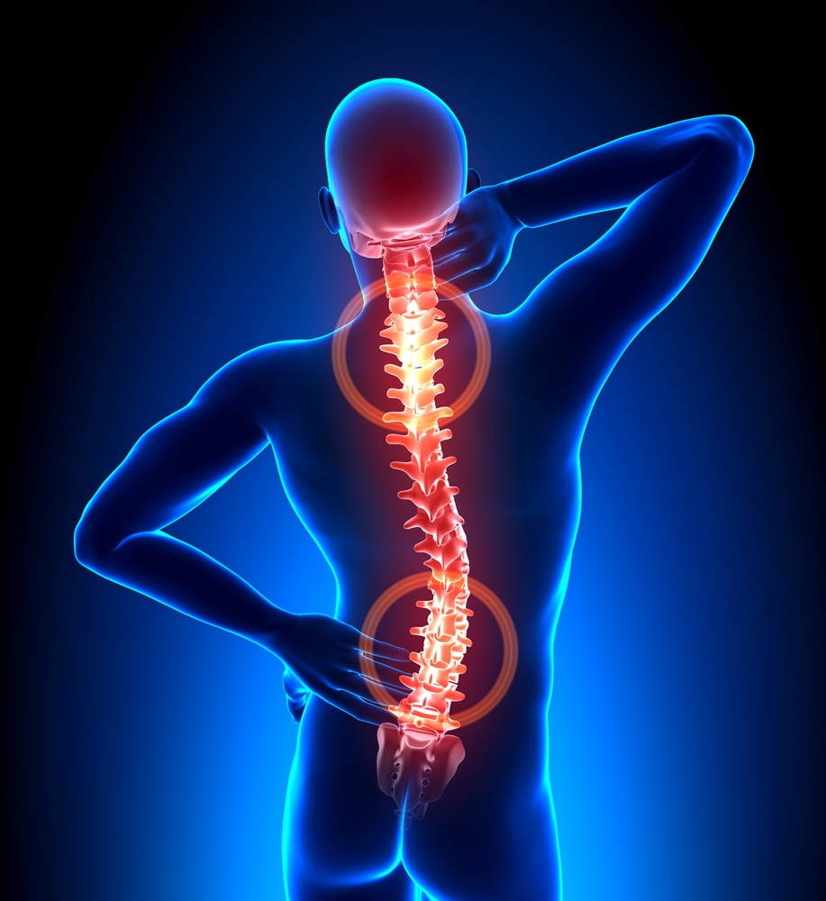 the painful truth about back injuries essay Not only has he read her essay before and yet they share this deeper painful preoccupation with truth, which they must express in writing “i look back on those months and years and our . the painful truth about back injuries essay Not only has he read her essay before and yet they share this deeper painful preoccupation with truth, which they must express in writing “i look back on those months and years and our .