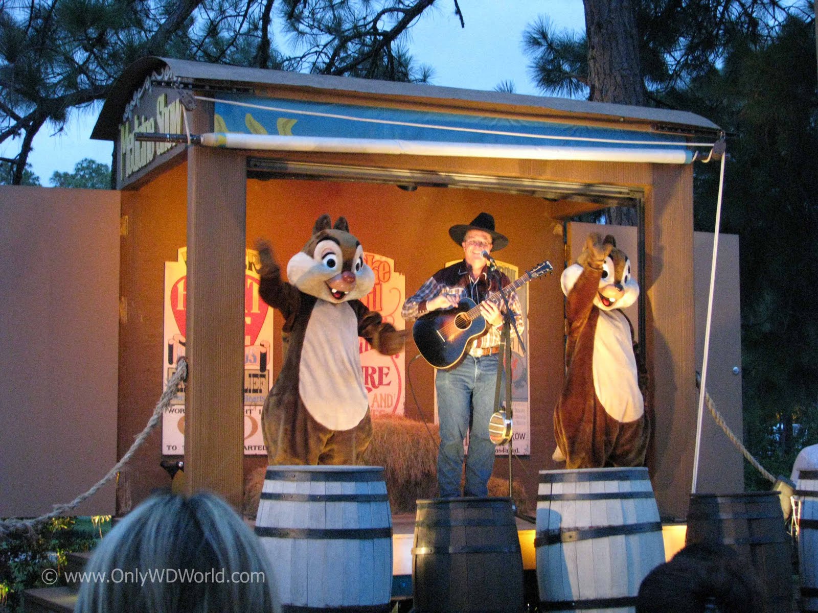 Disney World Top 6 FREE Activities Disney World Blog Discussing Parks, Resorts, Discounts and