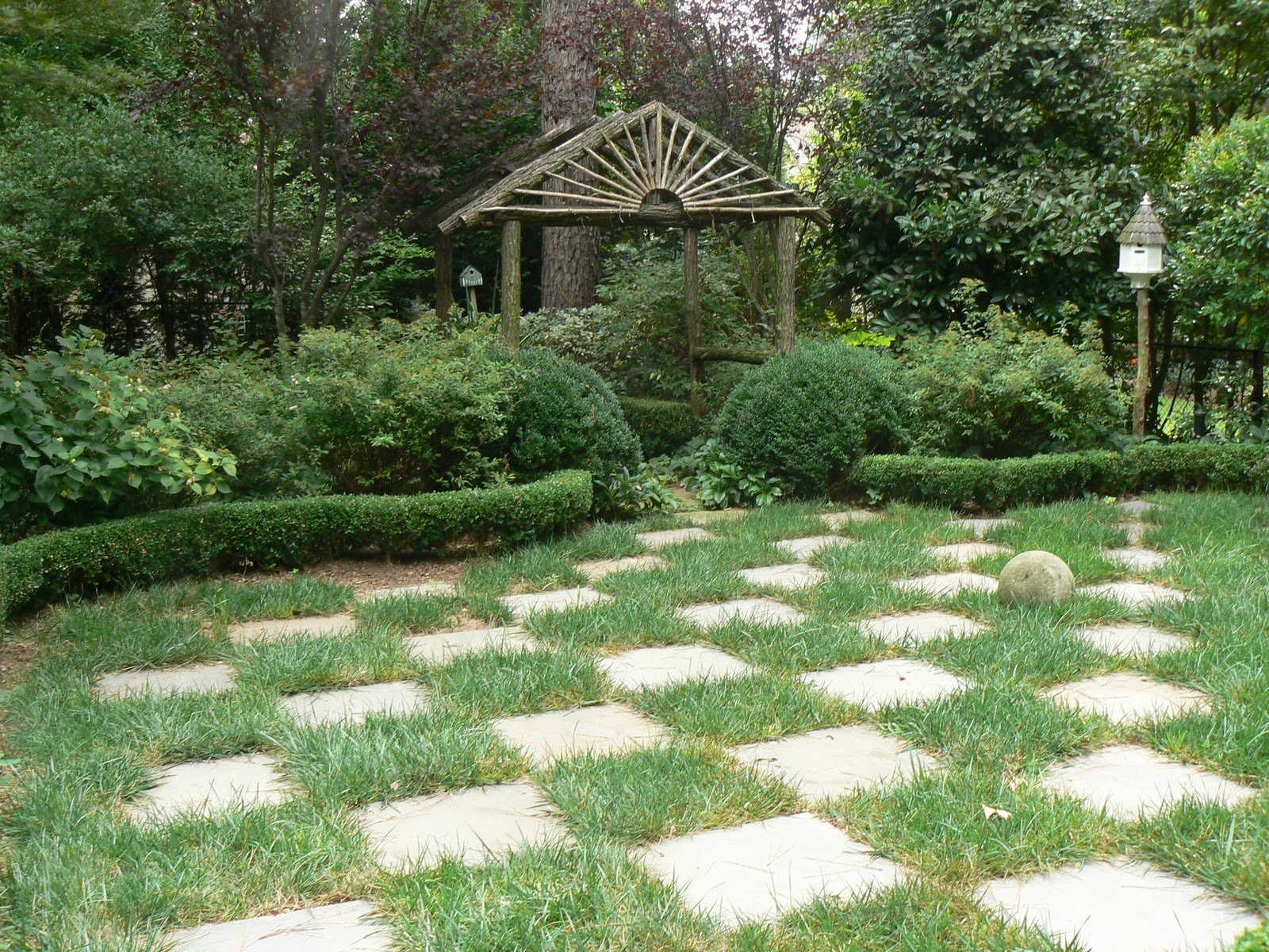 Mariette S Back To Basics Our Royal Bonica Rose