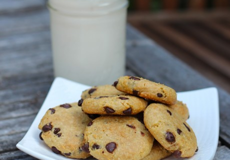 Primal Cravings Chocolate Chip Cookies Primal Cravings Chocolate Chip Cookies