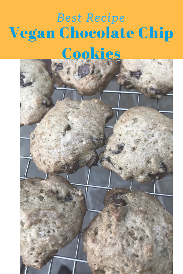 WheelsandEats Vegan Chocolate Chip Cookies Using Up Homemade Applesauce