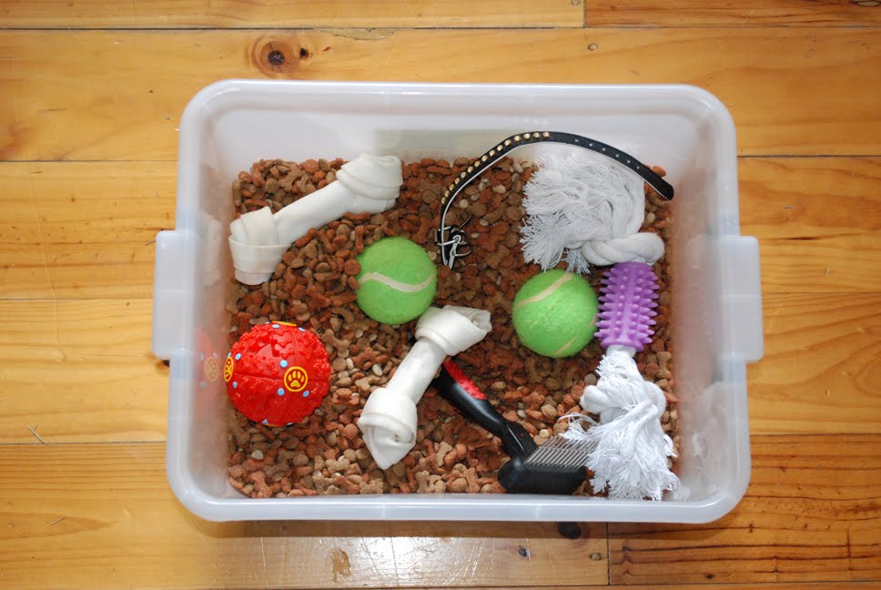 A BUNCH OF KEYS Pet themed sensory tub