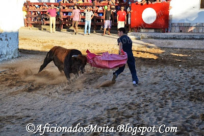 https://picasaweb.google.com/112628067891720623695/SamoraCorreiaFestasAnuaisLargadaDeToirosReportagemFotograficaP218h30170813#slideshow/5955480476631235442