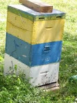 type of beehive