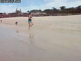 001-funny-animal-gifs-kangaroo.gif
