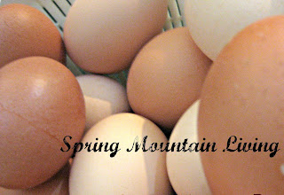 color difference farm fresh vs store bought eggs