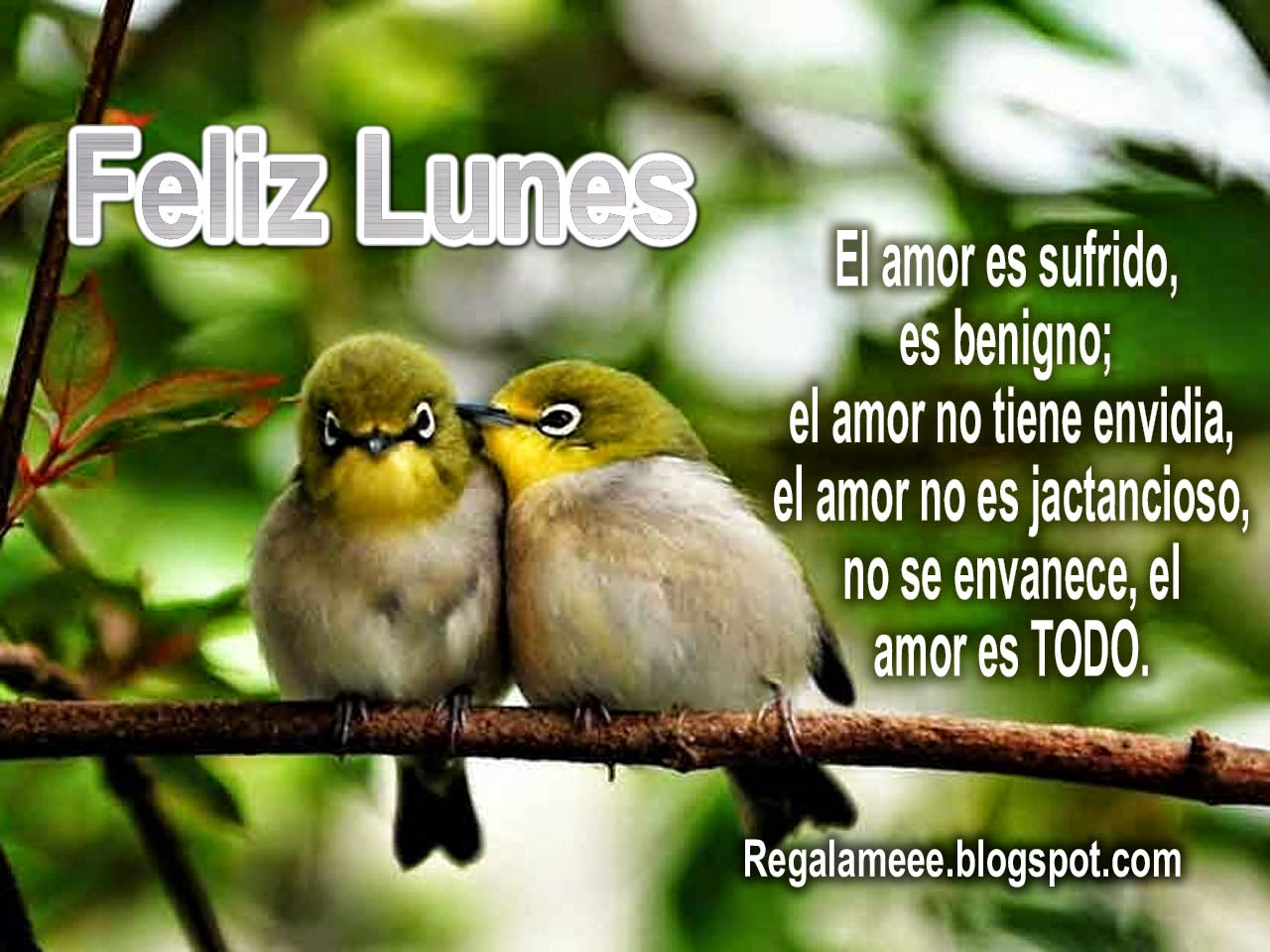 Résultat de recherche d'images pour "Feliz lunes con paisajes"