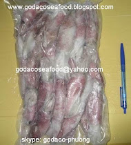 Whole Gutted Arrow Squid-Loligo edulis - Mực ống Ghim Làm Sạch Nguyên Con