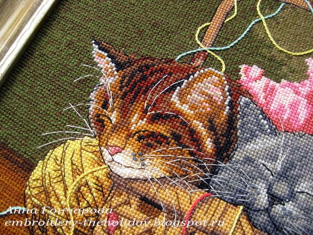 Котята Дименшенс Схема