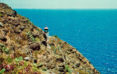 Makapu'u Lighthouse Trail