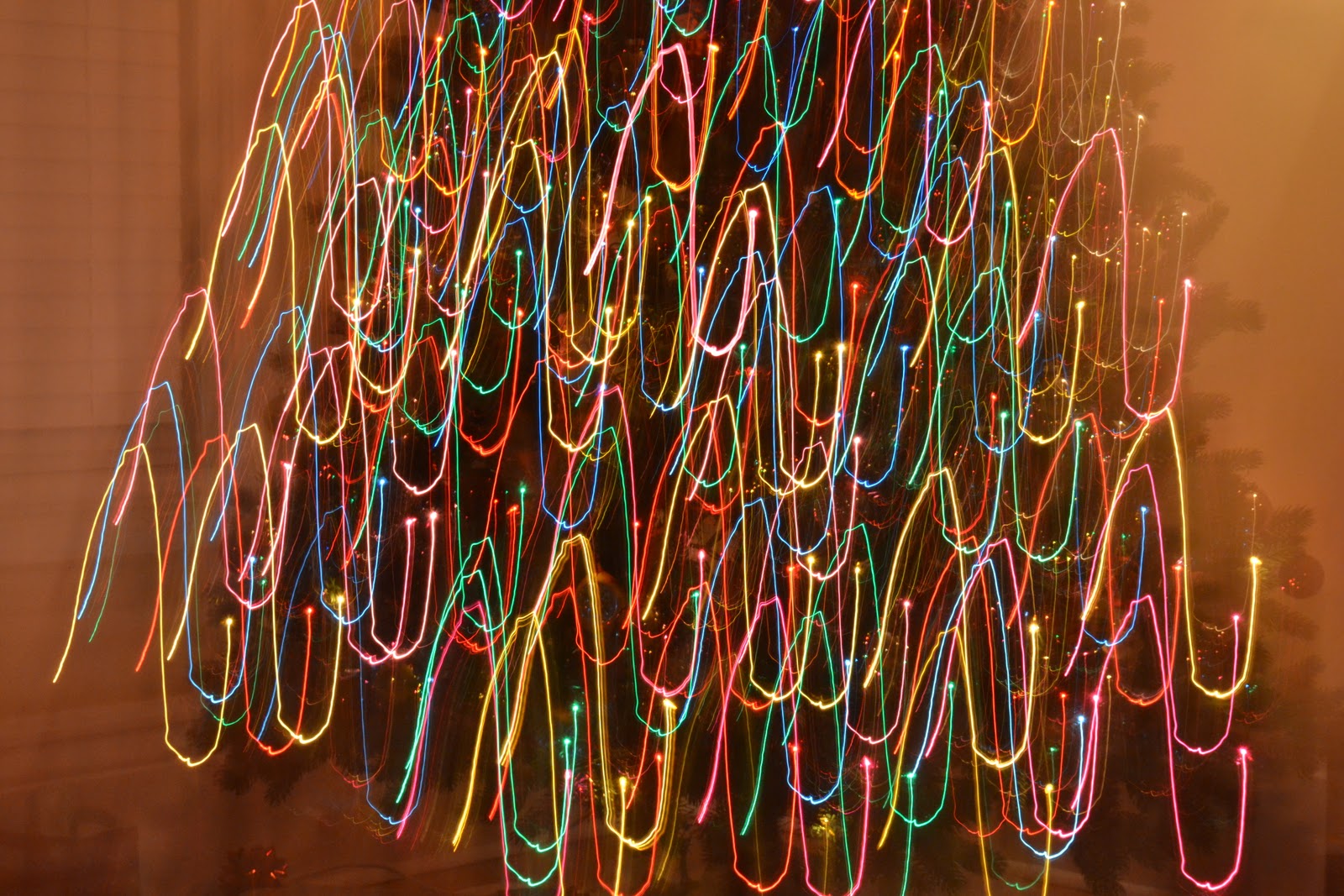 The Adventures of Shaw Bokeh Christmas Photos... take 1