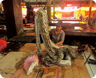 Www Preesella Iskhandar Com Pasar Hewan Paling Sadis Dan Ekstrim