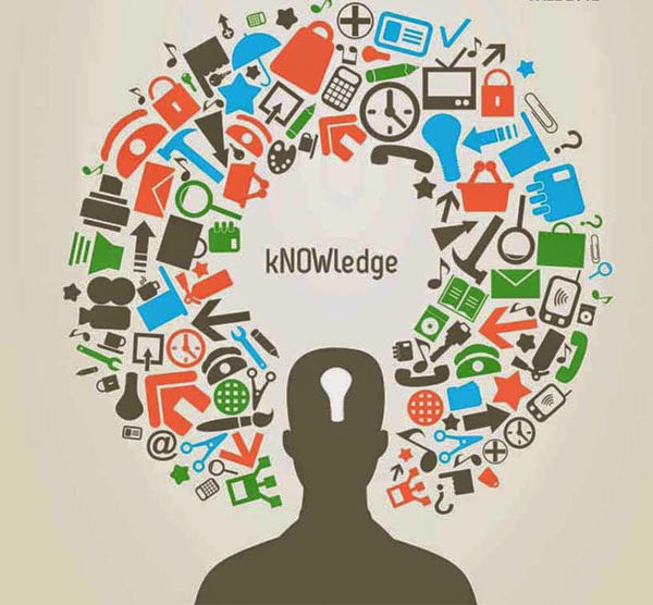 Social Studies Buzz Deep and Fragile Knowledge