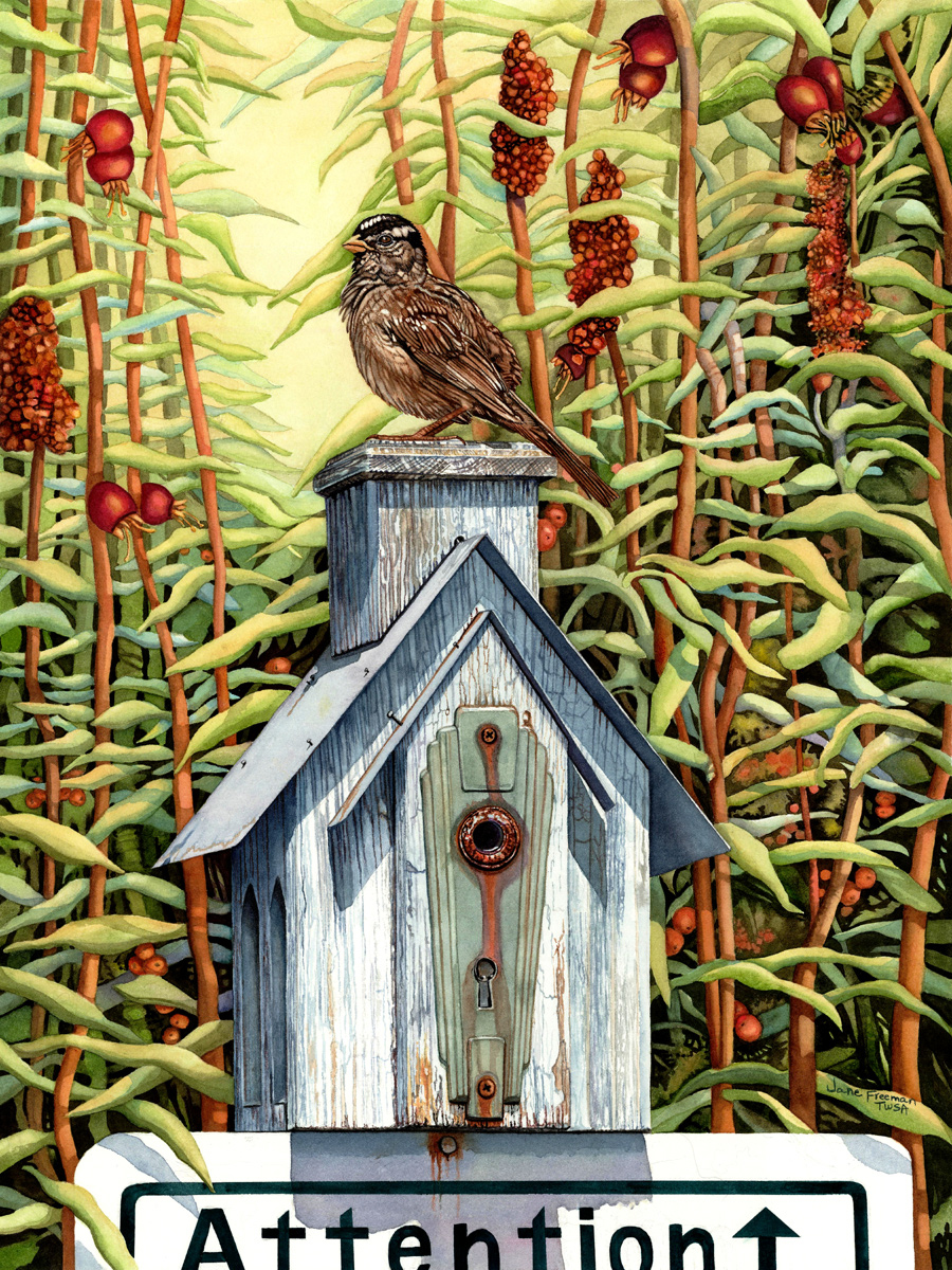 Jane Freeman Paintings