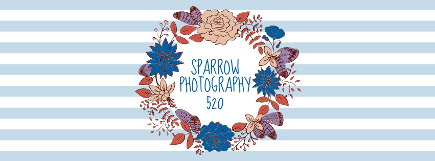 Sparrow Photography 520