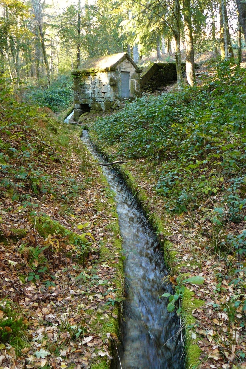 Moinhos de Rei, Cabreira