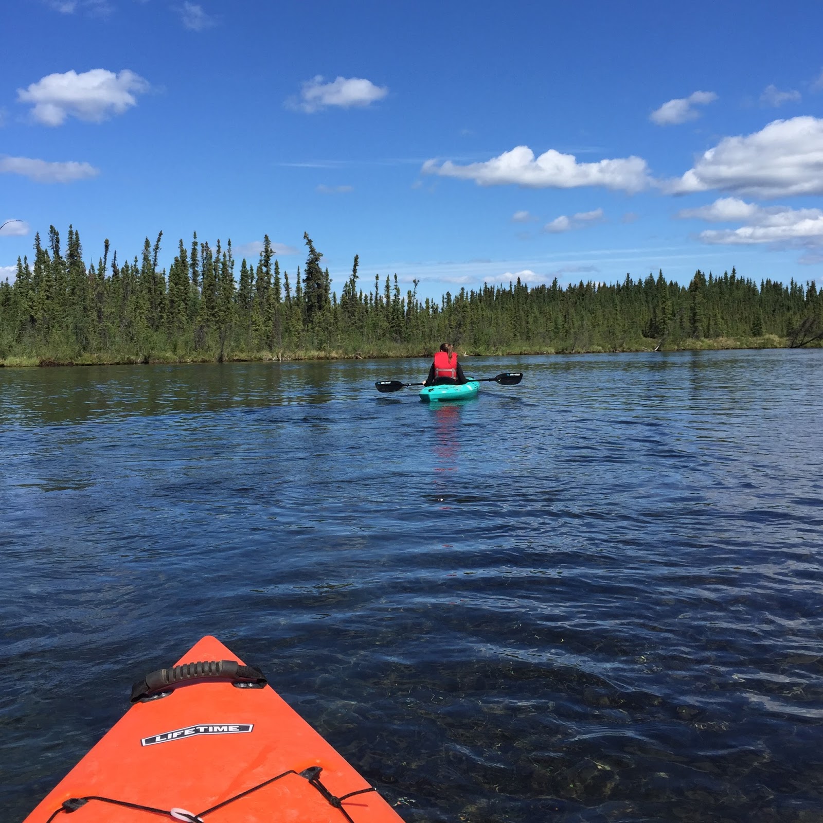 Kayaking the Clearwater River Delta Junction, Alaska Two Soulmates and a Suitcase