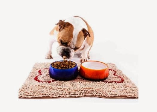 Afw Dog Bed Afw Dog Bed