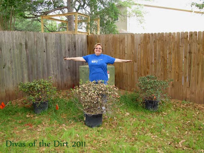 Divasofthedirt,sophia impersonates a shrub