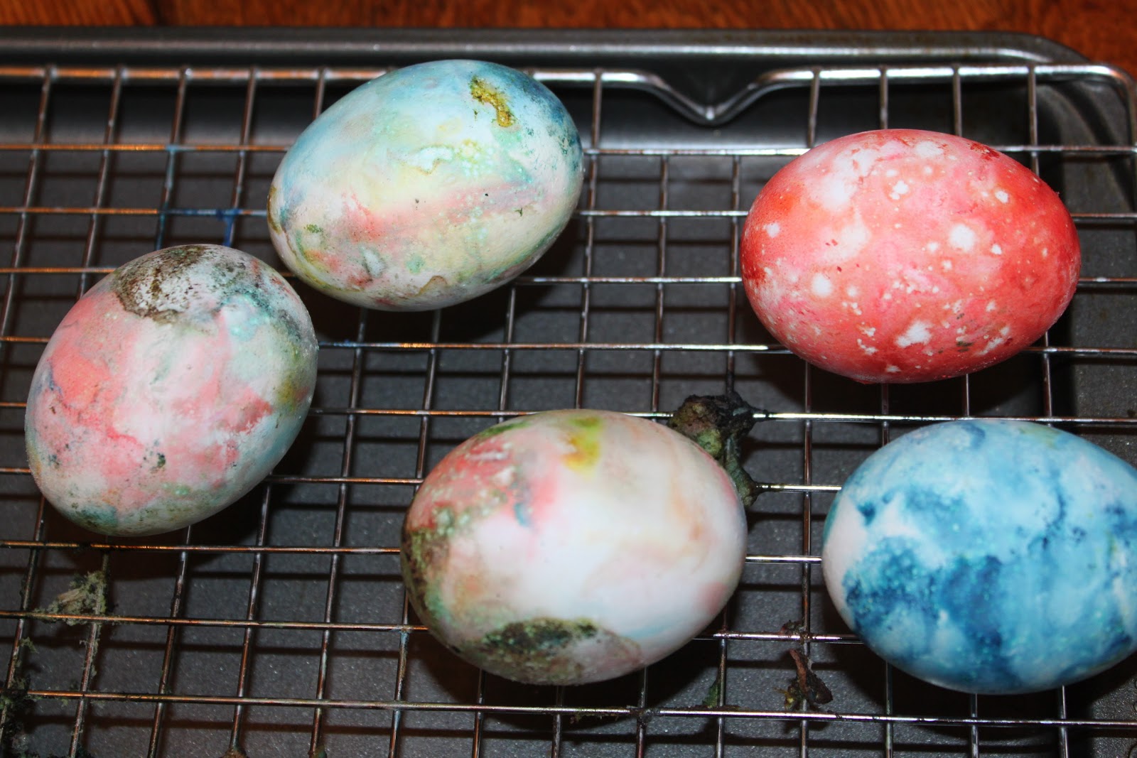 Scrogin Family Shaving Cream Colored Eggs