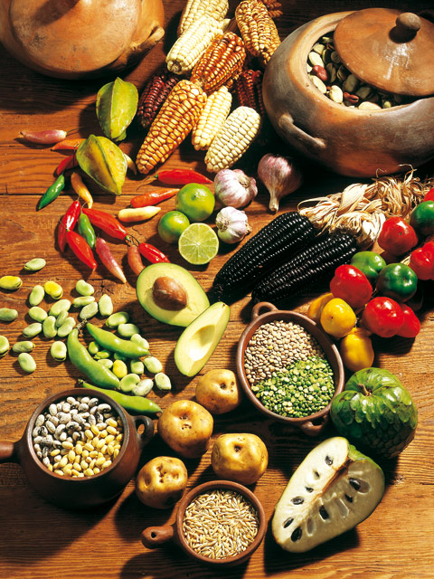 Los alimentos peruanos ~ Noticias