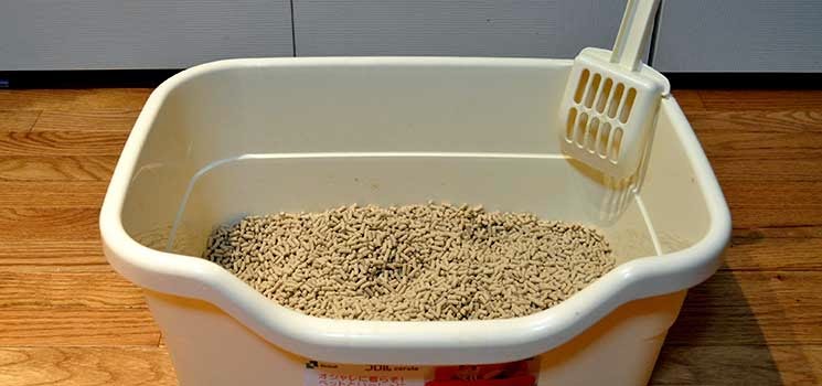 Bekas pasir kucing yang bersih